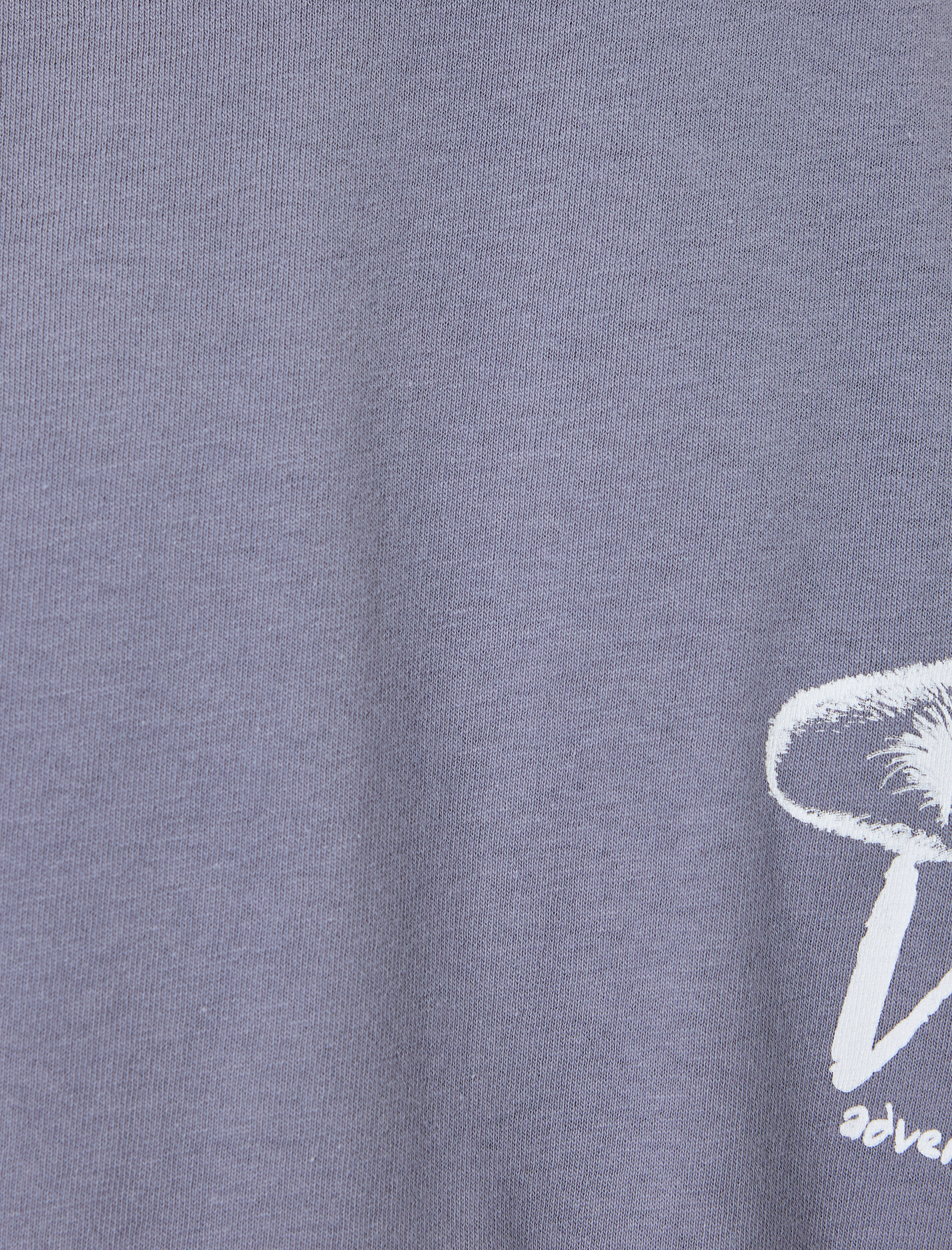   Bisiklet Yaka Pamuklu Regular Fit Kısa Kollu Hayvan Baskılı Tişört