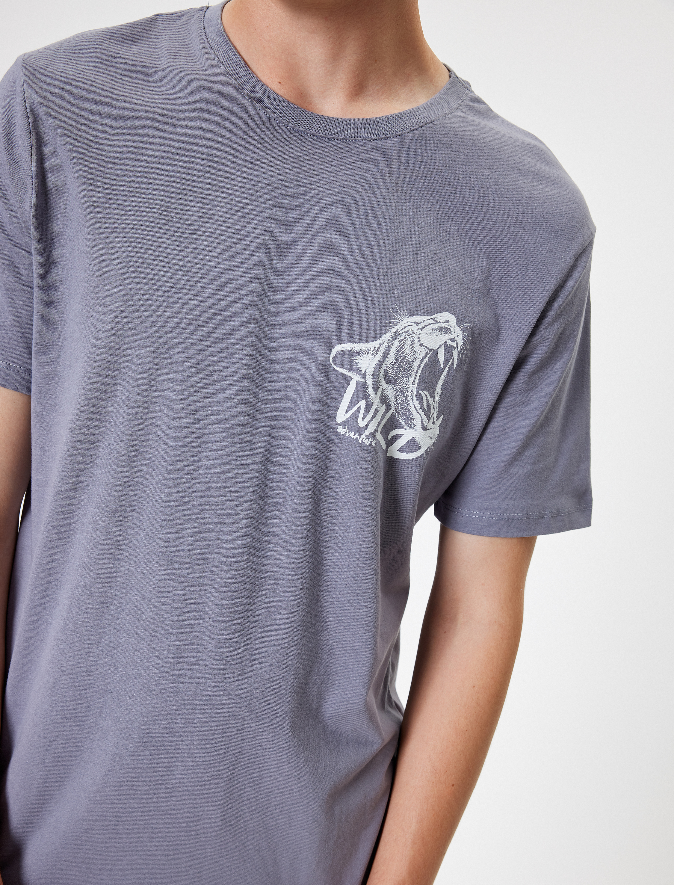   Bisiklet Yaka Pamuklu Regular Fit Kısa Kollu Hayvan Baskılı Tişört