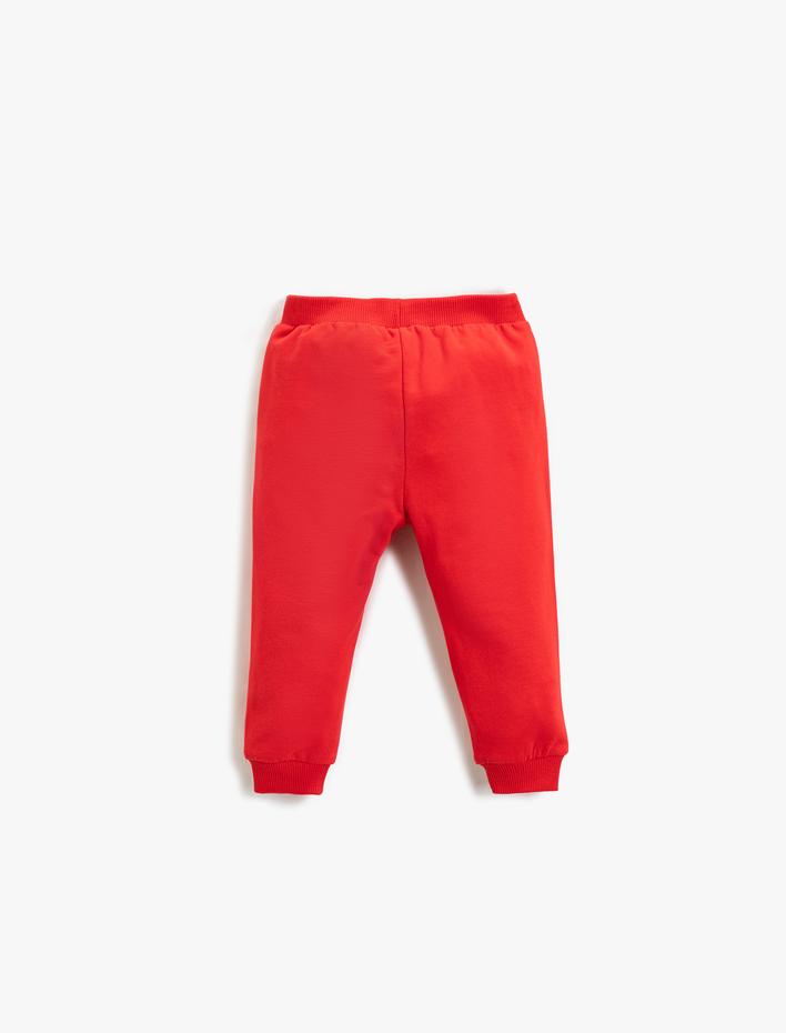 Erkek Bebek Basic Jogger Eşofman Altı Beli Bağlamalı