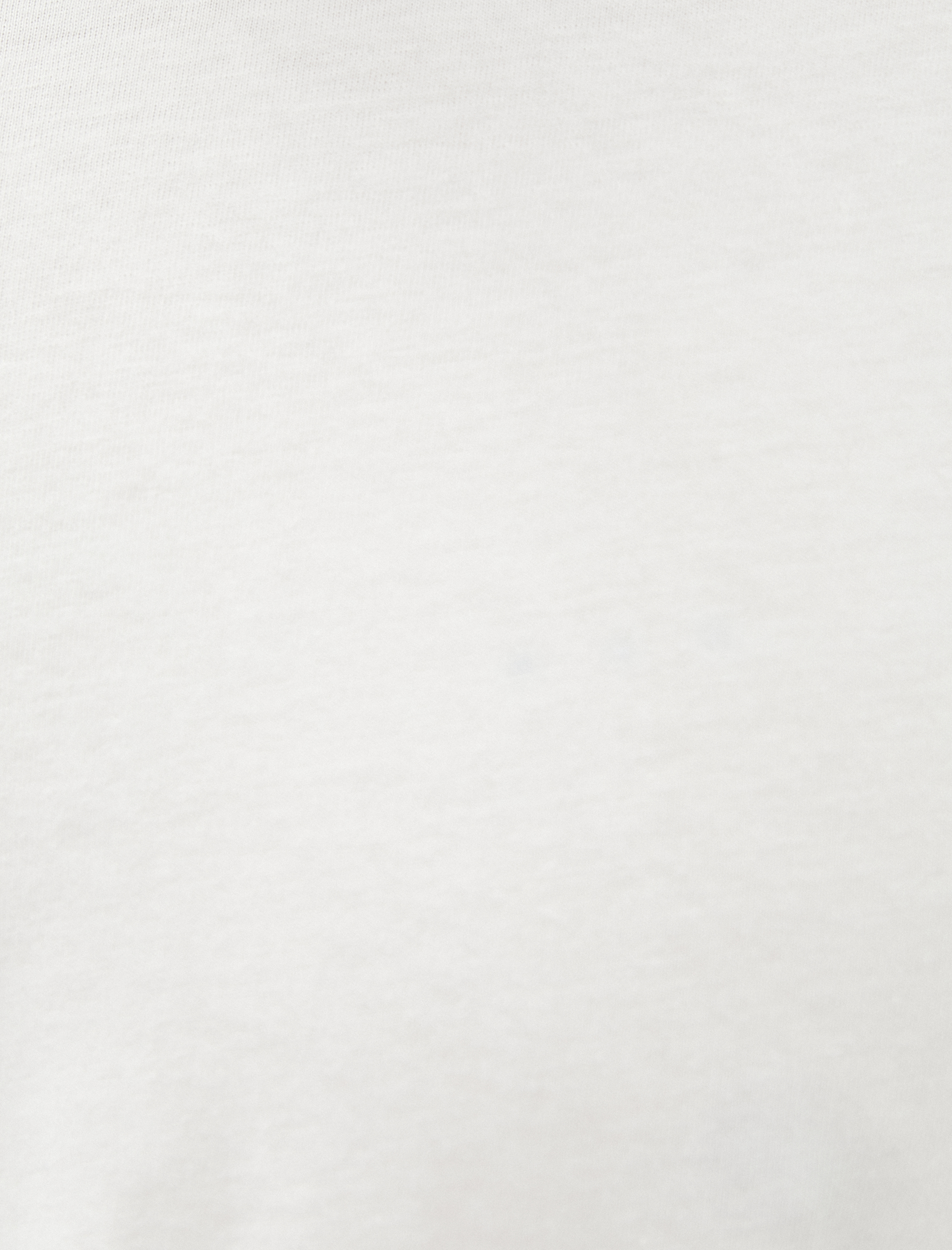   Basic Tişört Bisiklet Yaka Çift Kat Kol Detaylı Pamuklu