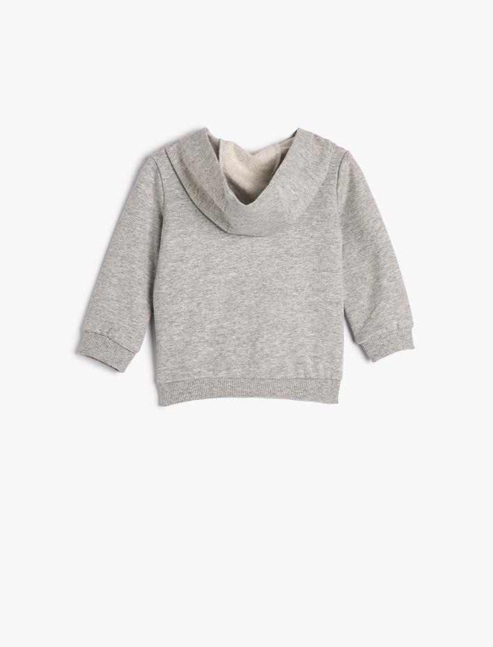 Erkek Bebek Kapşonlu Sweatshirt Şardonlu Dinozor Baskılı