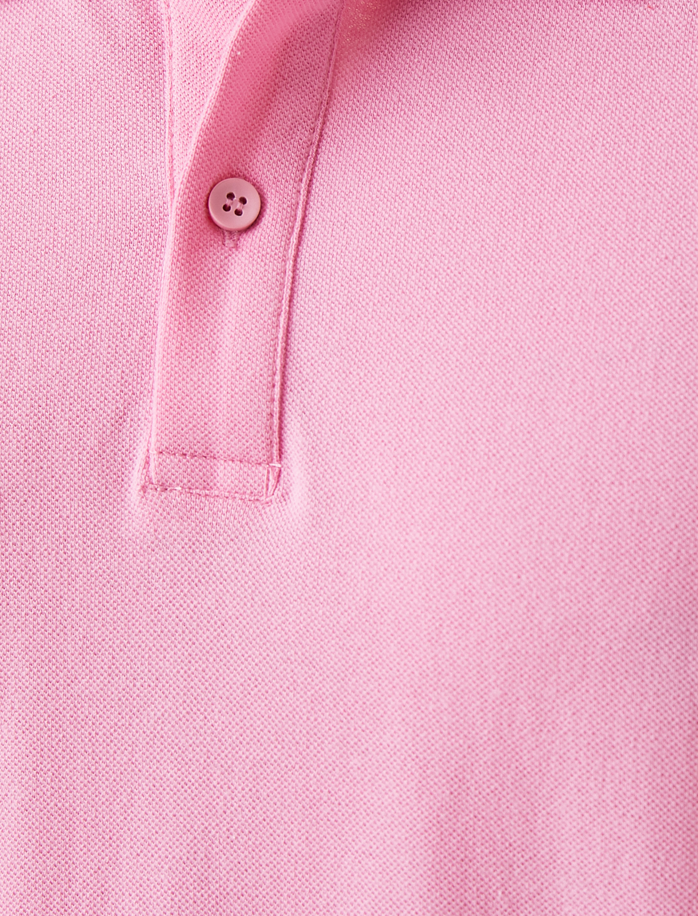   Basic Polo Yaka Tişört Pamuklu