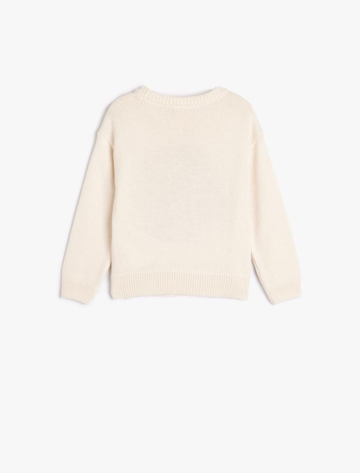 Kız Bebek Triko Kazak Kirpi Aplikeli Uzun Kollu Bisiklet Yaka