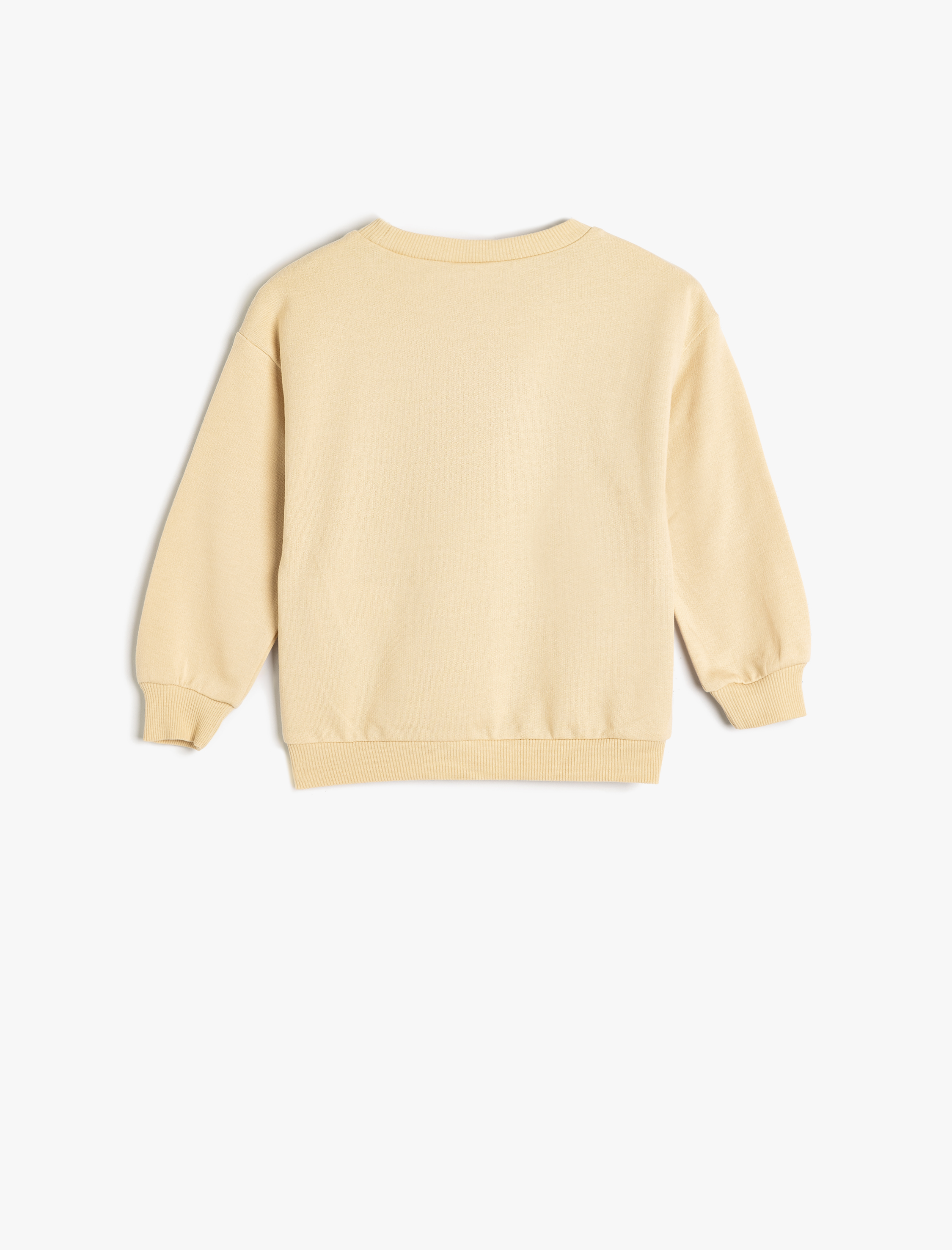  Erkek Bebek Dinozorlu Sweatshirt Uzun Kollu Bisiklet Yaka Pamuklu Şardonlu