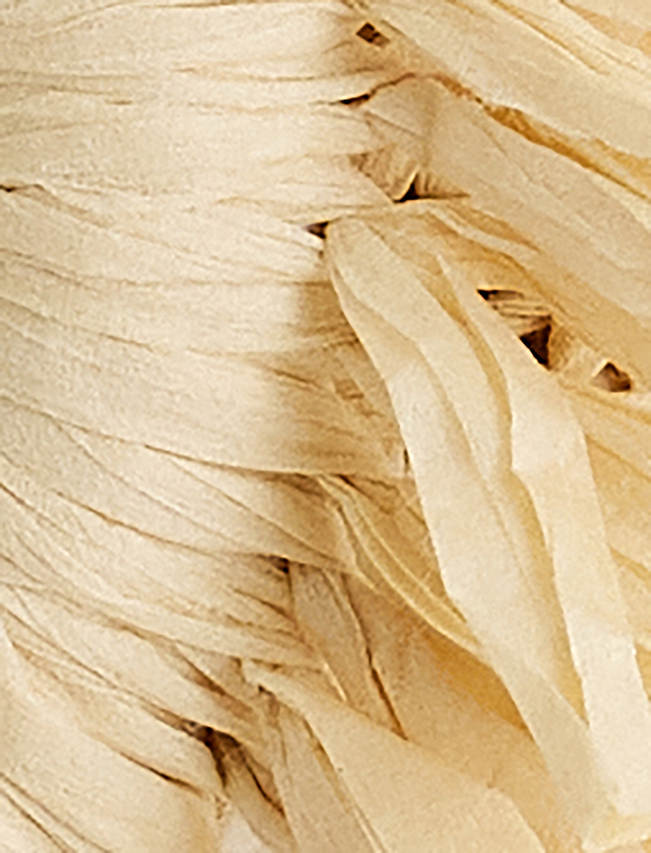  Kadın Koton X Melis Ağazat - Püsküllü Hasır Kemer