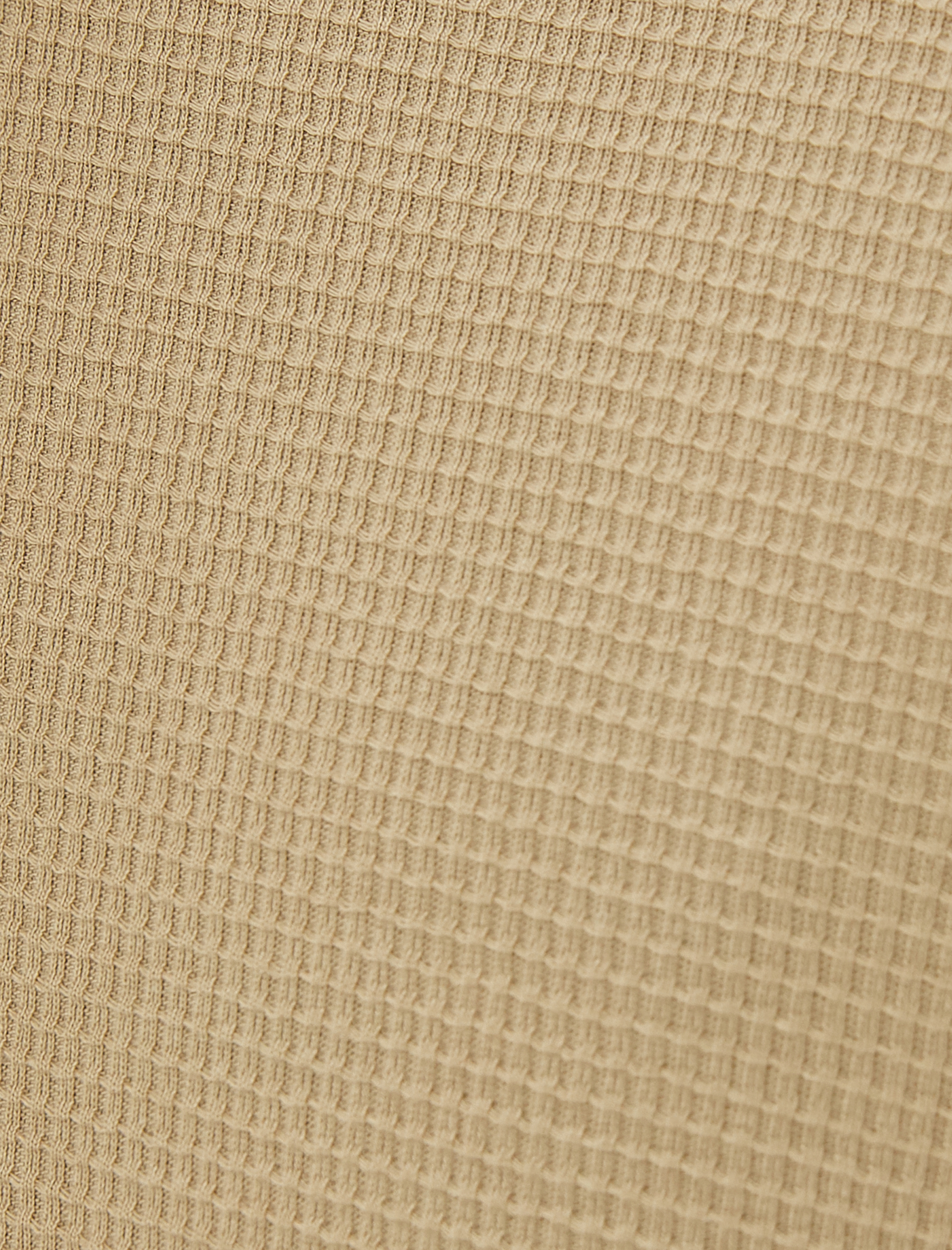   Etiket Detaylı Pamuklu Kısa Kollu Bisiklet Yaka Tişört