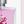 Parfüm Pink Blossom 50 ML-300