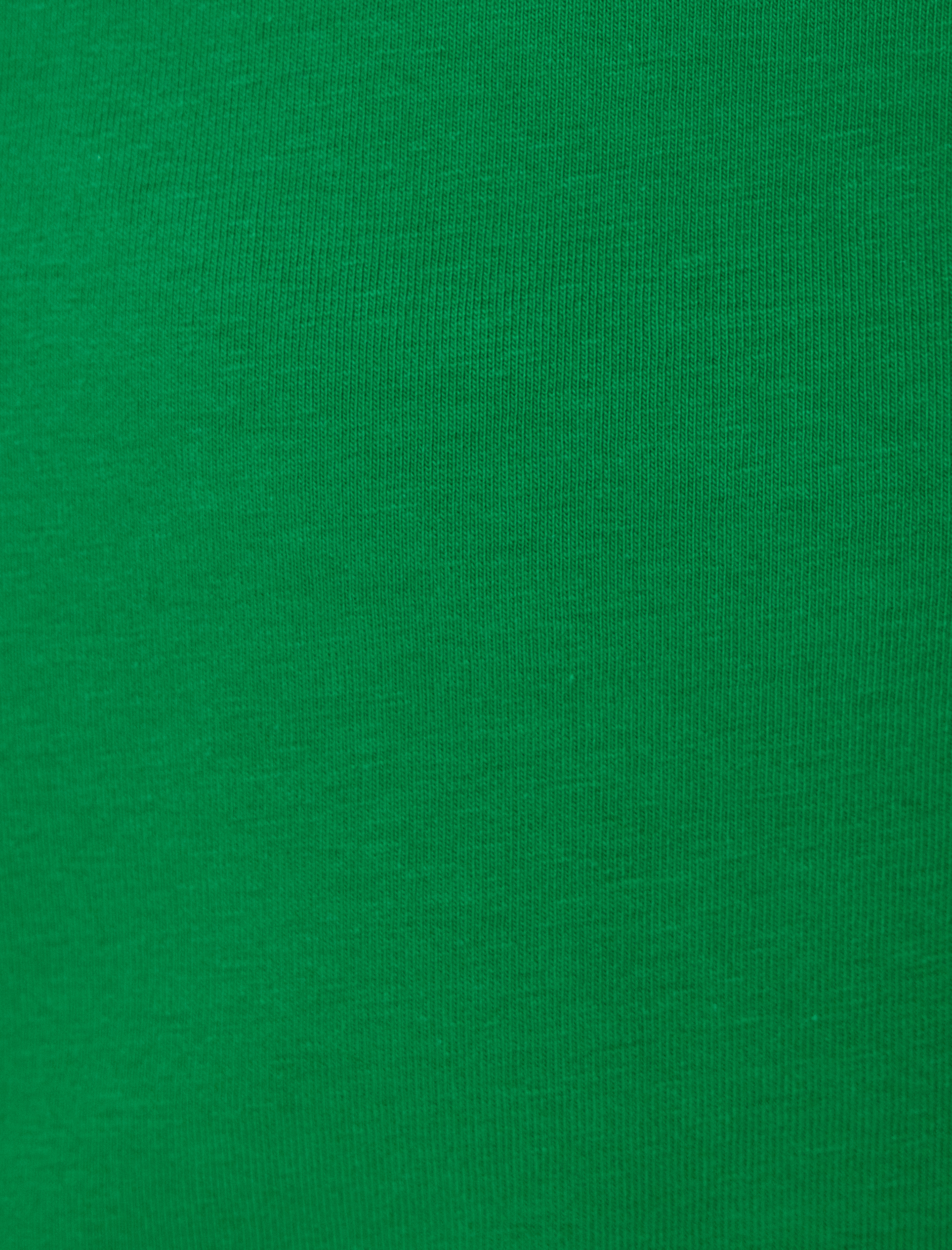 Slim Fit Tişört Kolej Baskılı Kısa Kollu Bisiklet Yaka