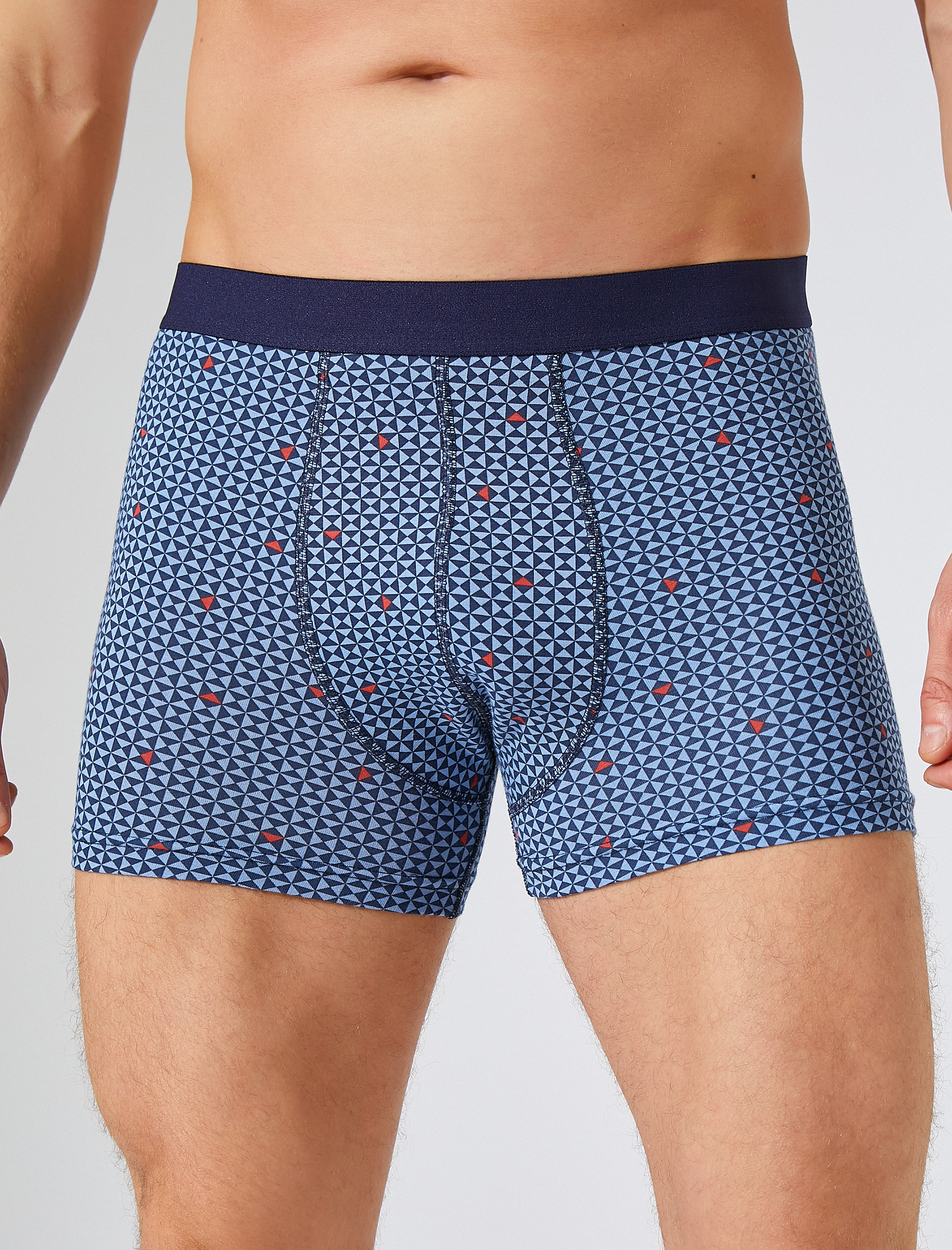   Baskılı Basic Regular Boxer