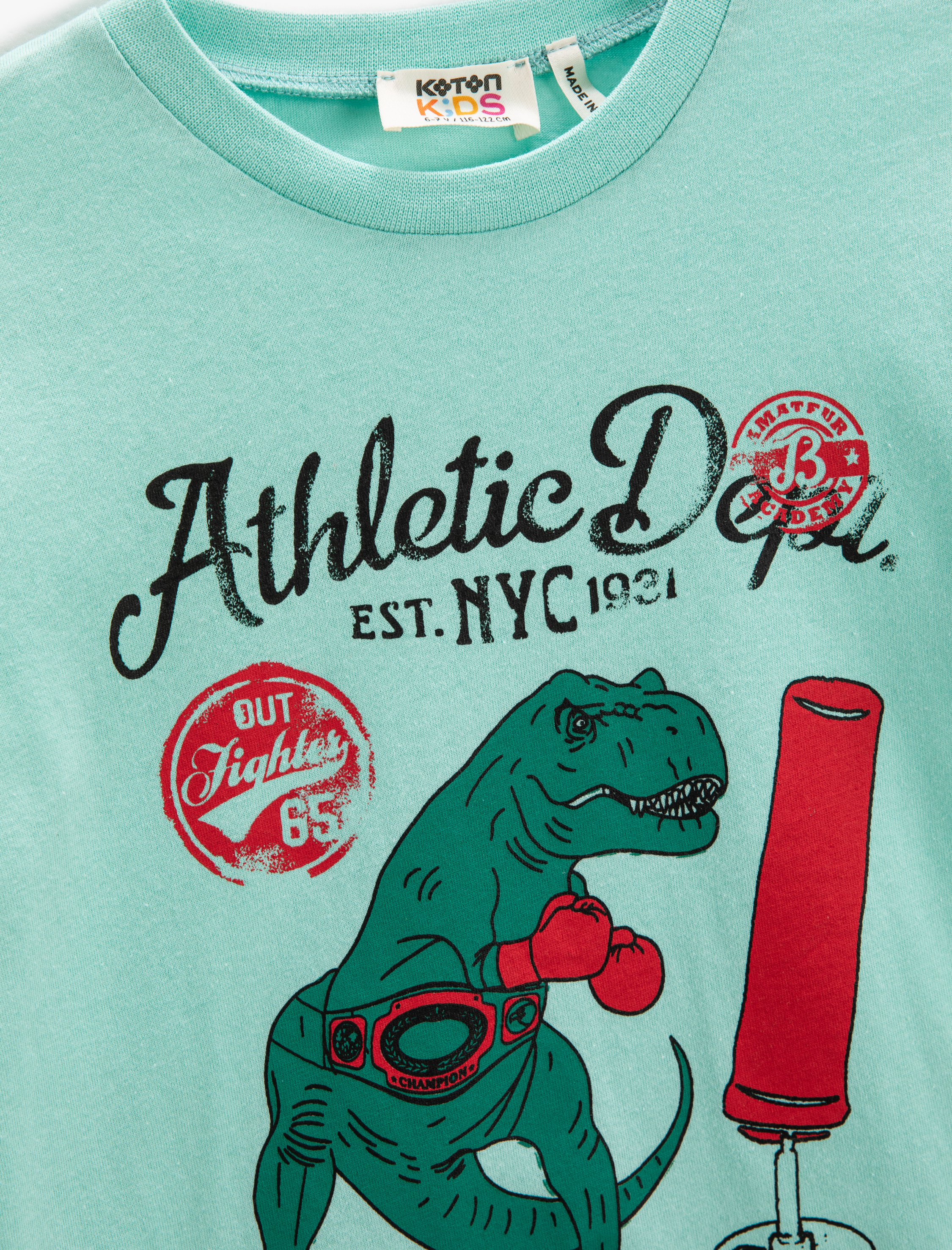  Erkek Çocuk Dinozor Baskılı Kısa Kollu Tişört Bisiklet Yaka