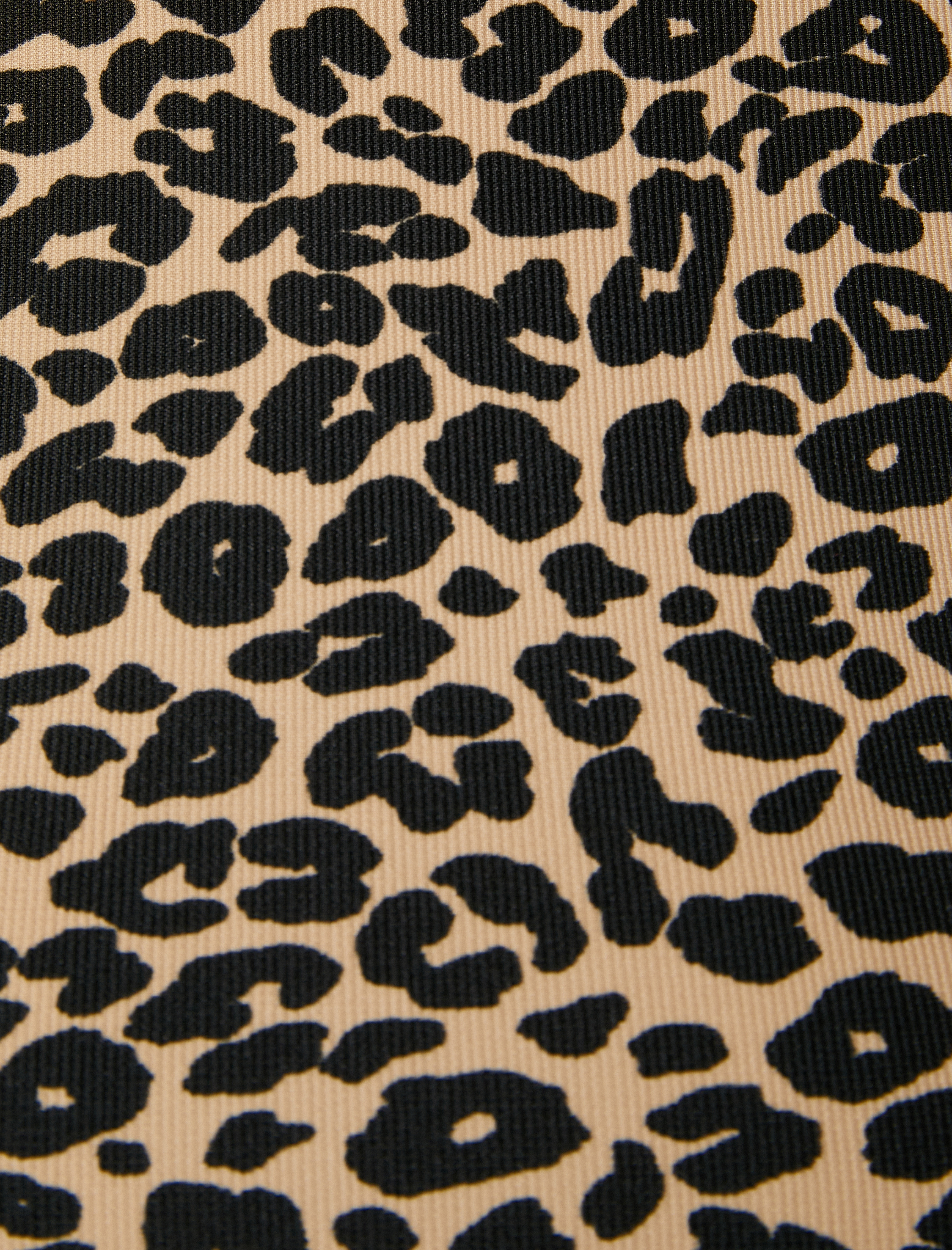   Leopar Desenli Atlet Kolsuz Bisiklet Yaka