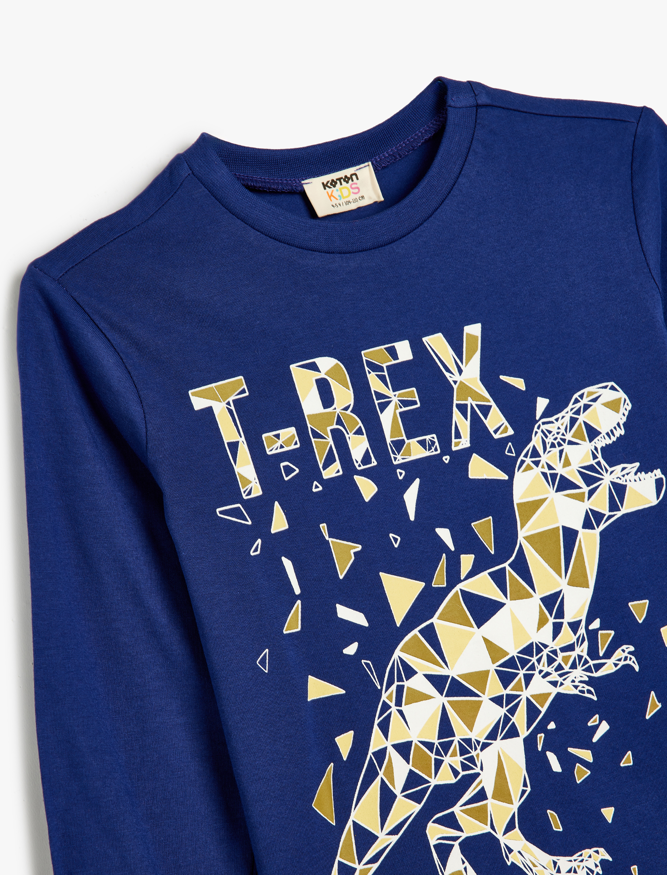  Erkek Çocuk Dinozor Baskılı Uzun Kollu Tişört