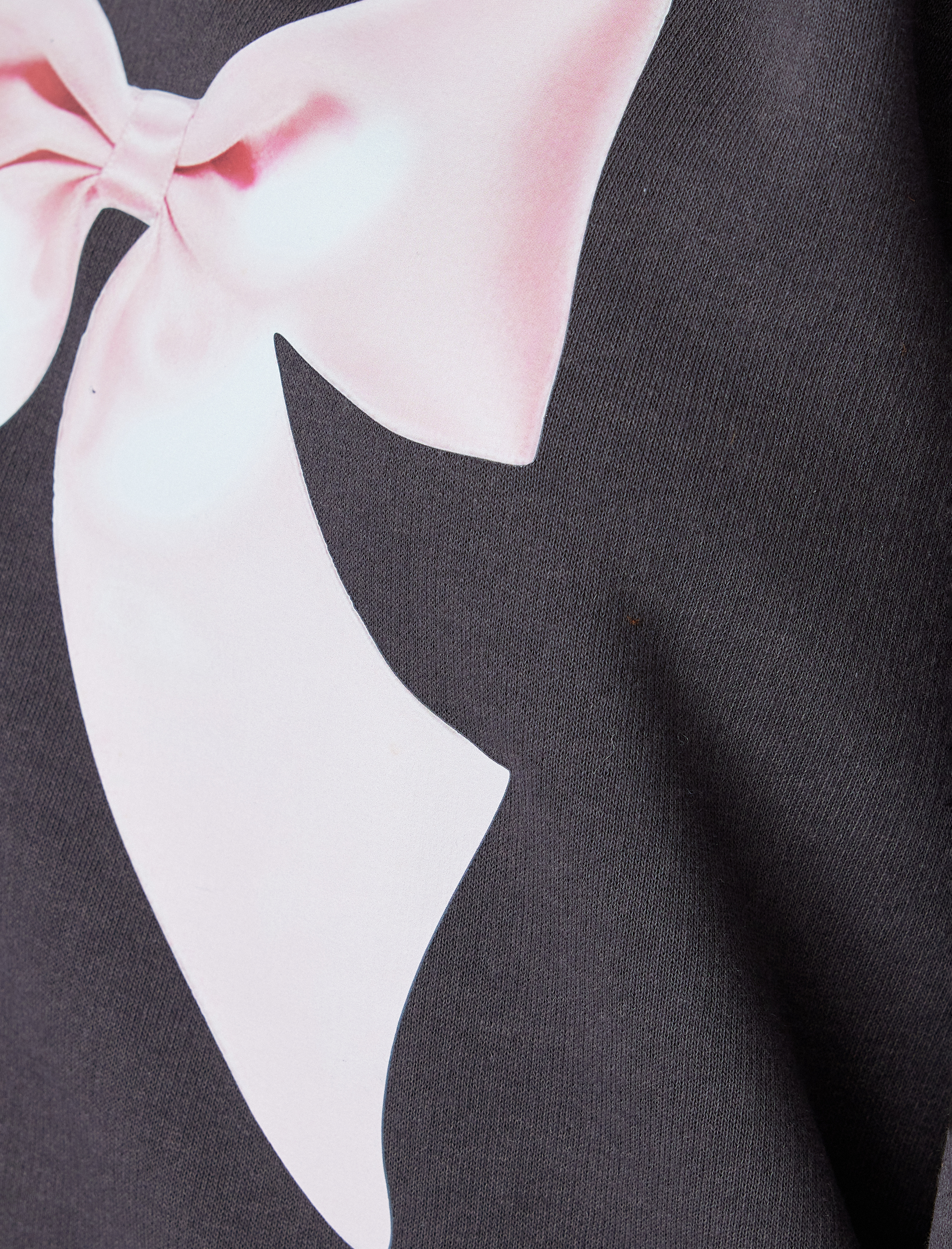   Oversize Sweatshirt Fiyonk Baskılı Bisiklet Yaka Şardonlu