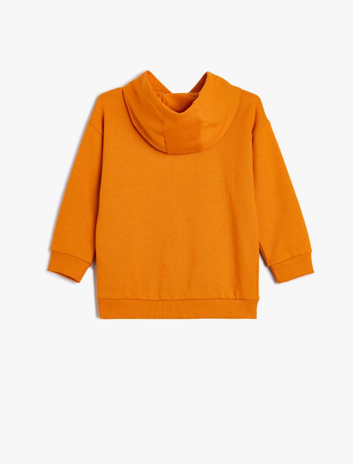 Erkek Çocuk Kapşonlu Dinozor Baskılı Uzun Kollu Şardonlu Sweatshirt