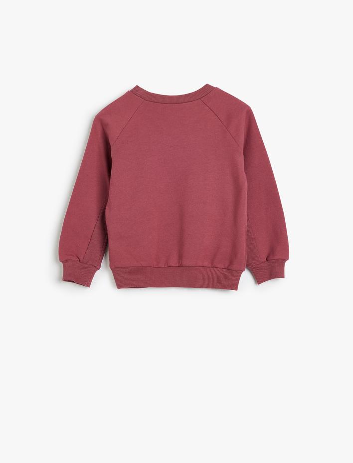 Erkek Bebek Basic Sweat Uzun Kollu Şardonlu Pamuklu