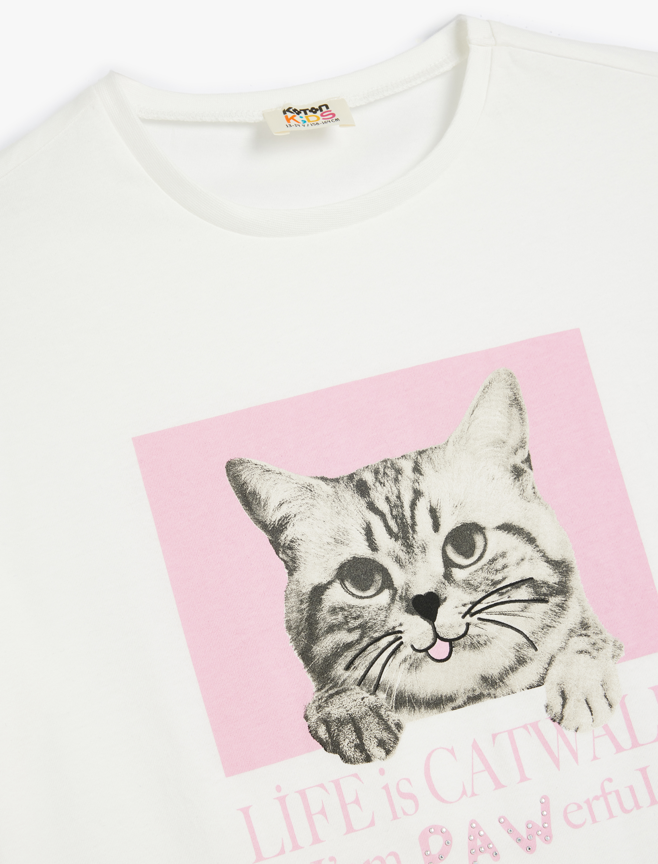  Kız Çocuk Kedi Baskılı Bisiklet Yaka Pamuklu Kısa Kollu Tişört