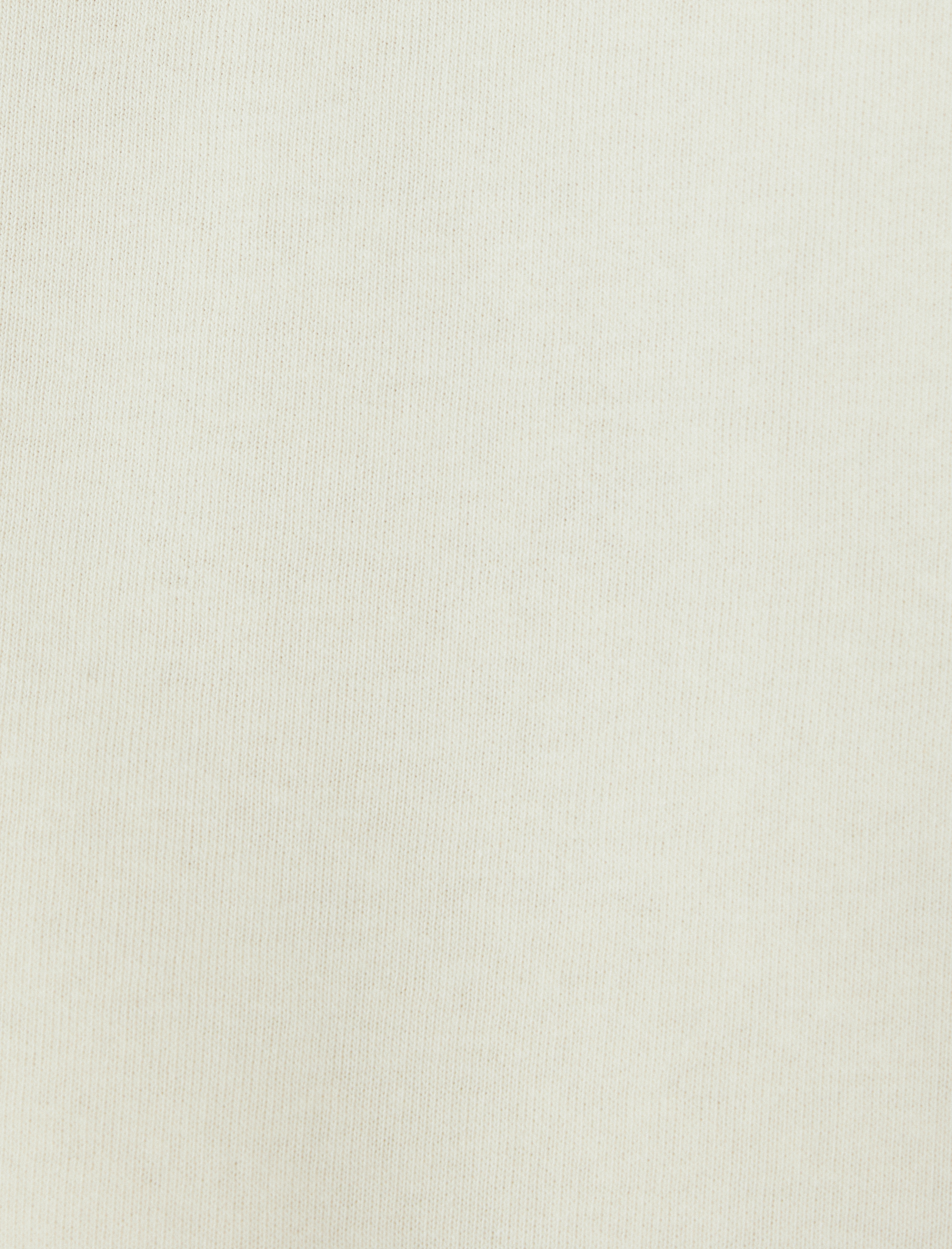   Şardonlu Pamuk Karışımlı Basic Kapşonlu Sweatshirt