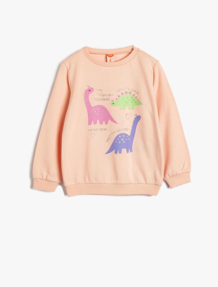 Kız Bebek Dinozor Baskılı Uzun Kollu Sweatshirt