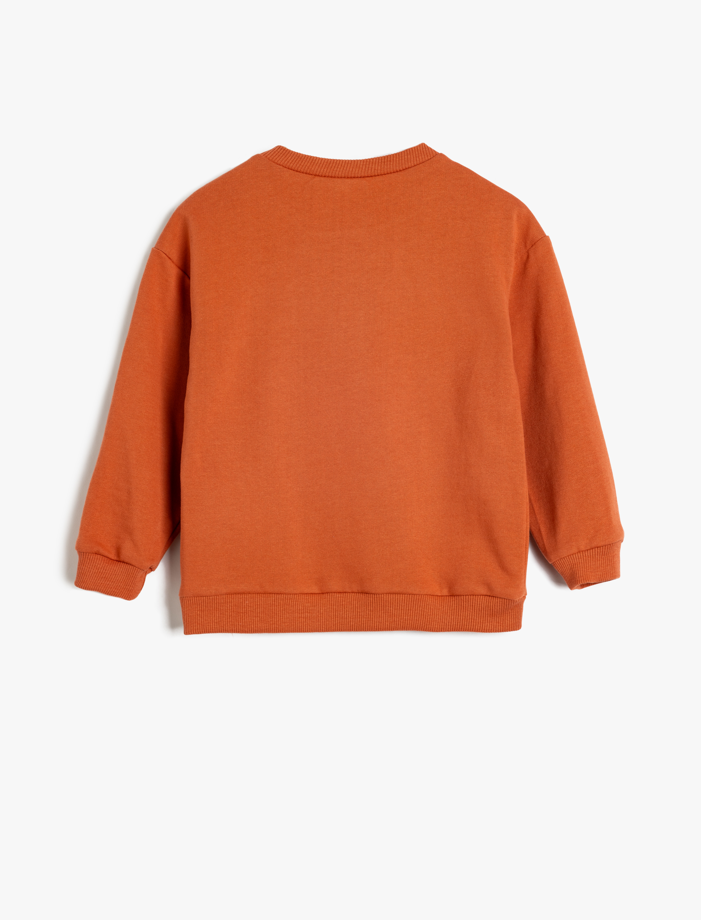  Erkek Bebek Kaplan Baskılı Sweatshirt Uzun Kollu Bisiklet Yaka Şardonlu