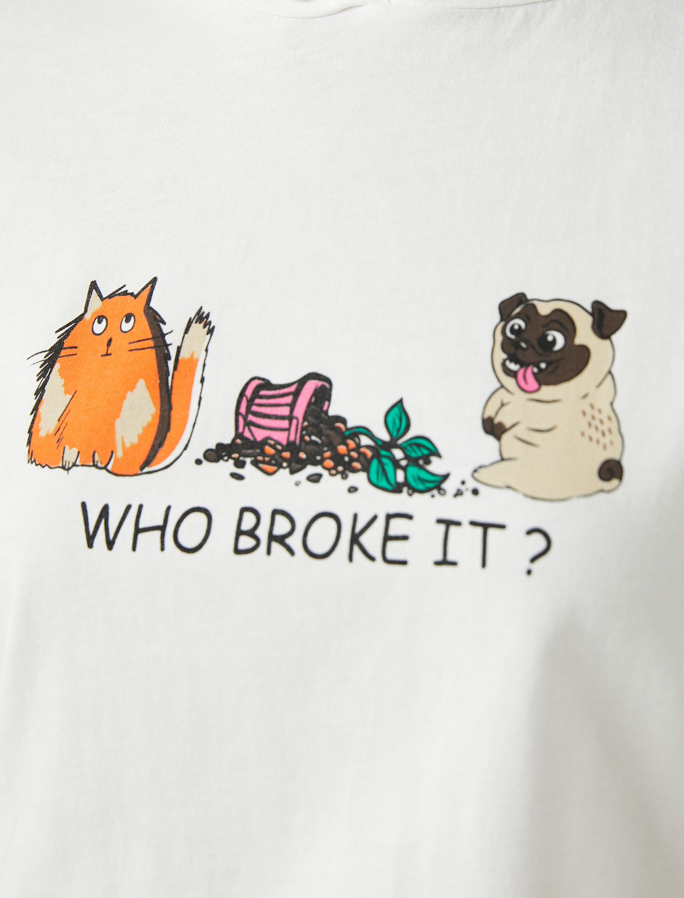   Kısa Kollu Kapüşonlu Tişört