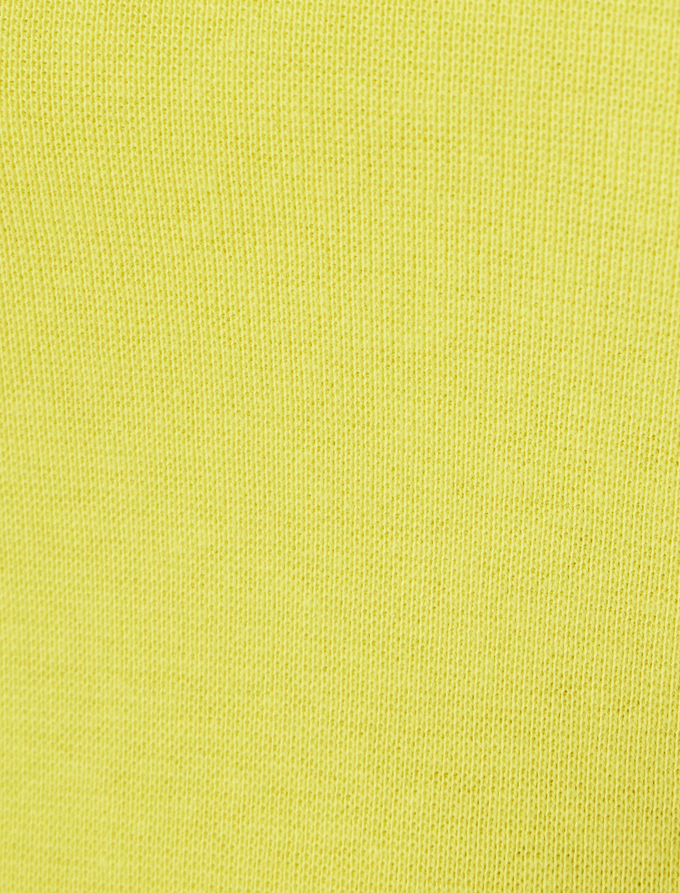   Crop Tişört Bisiklet Yaka Slogan Baskılı Biyeli Kısa Kollu