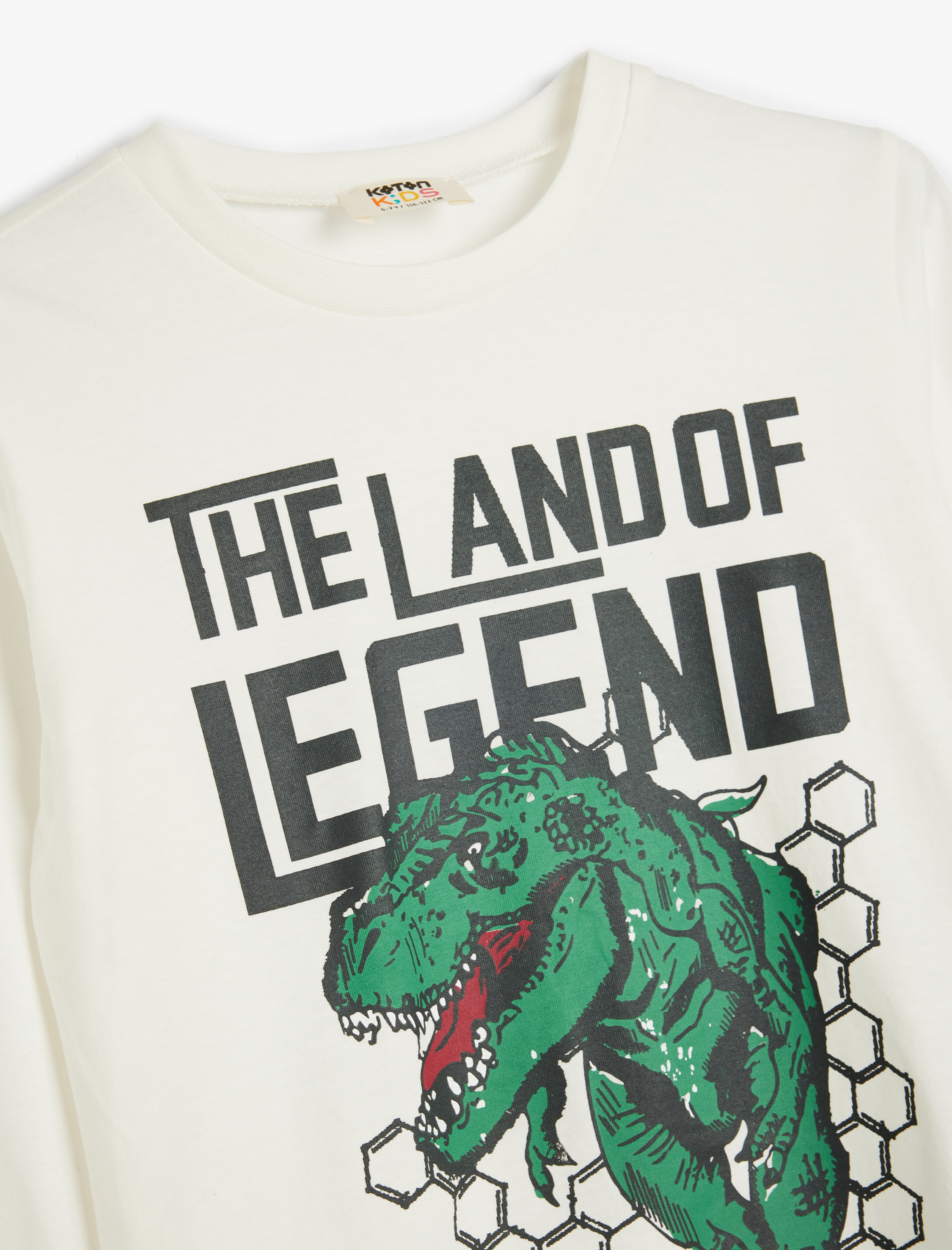  Erkek Çocuk Dinozor Baskılı Bisiklet Yaka Uzun Kollu Pamuklu Tişört