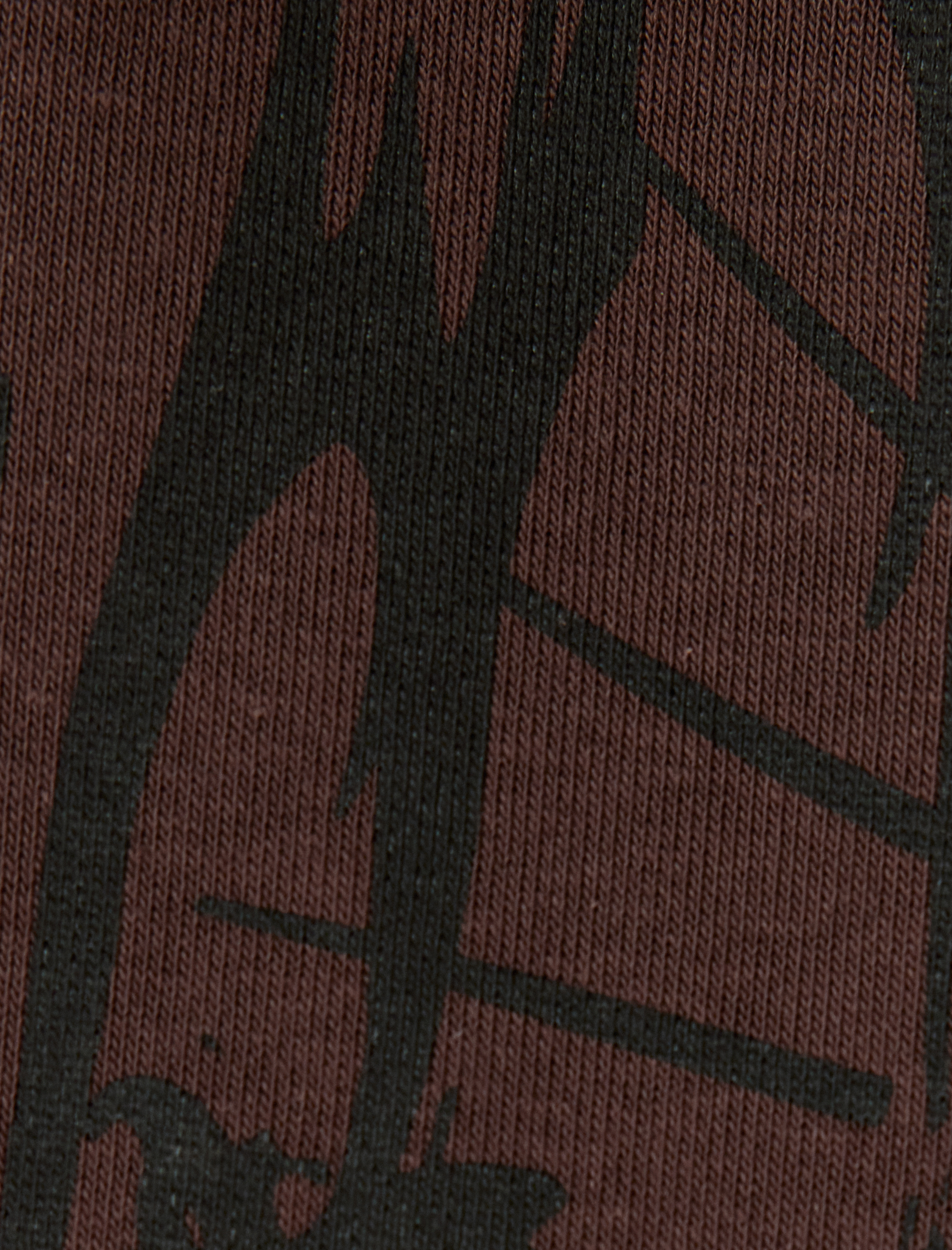   Fermuarlı Kapşonlu Baskılı Şardonlu Sweatshirt