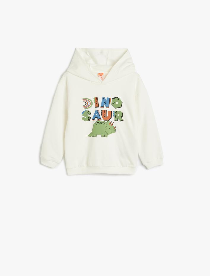 Erkek Bebek Kapşonlu Sweatshirt Uzun Kollu Bisiklet Yaka Dinozor Baskı Detaylı Pamuklu