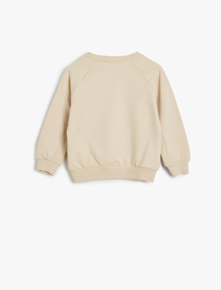 Erkek Bebek Basic Sweat Uzun Kollu Şardonlu Pamuklu