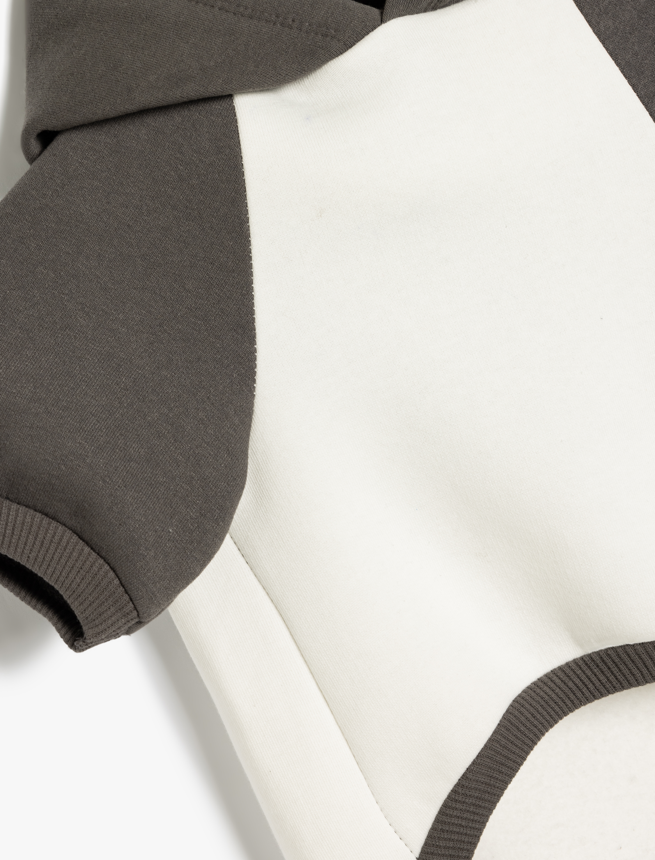   Şardonlu Köpek Sweatshirt Kapüşonlu Renk Bloklu Baskılı