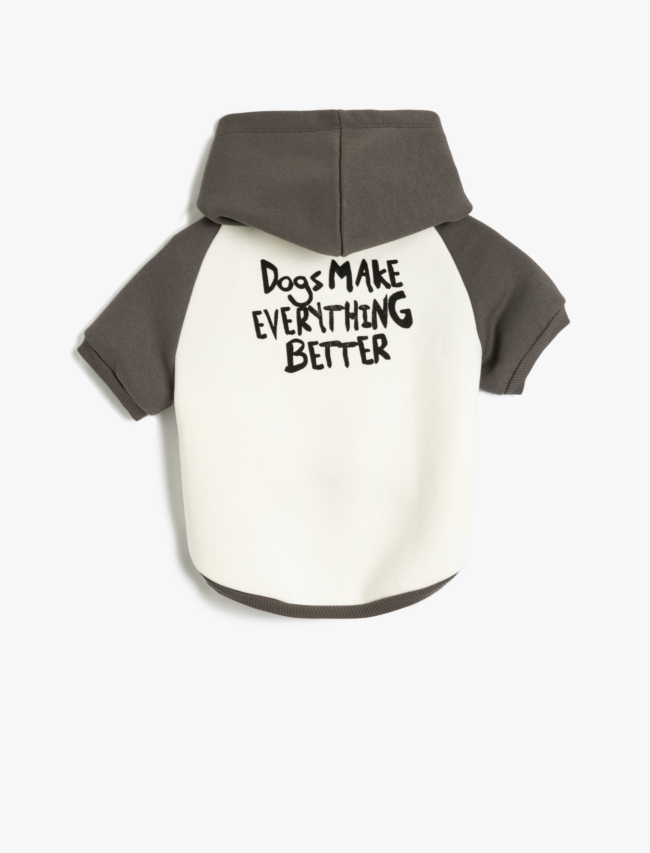   Şardonlu Köpek Sweatshirt Kapüşonlu Renk Bloklu Baskılı