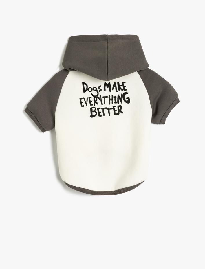  Şardonlu Köpek Sweatshirt Kapüşonlu Renk Bloklu Baskılı