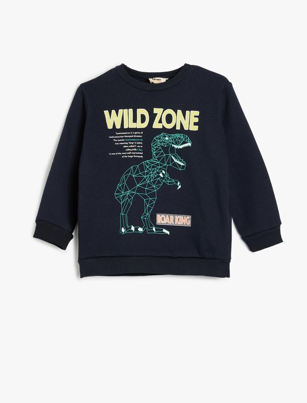 Dinozorlu Sweatshirt Bisiklet Yaka Uzun Kollu_0