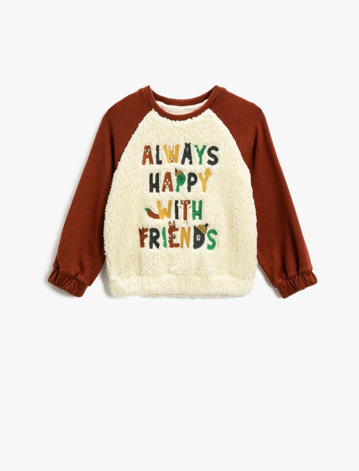 Erkek Bebek Peluş Triko Detaylı Sweat İşlemeli