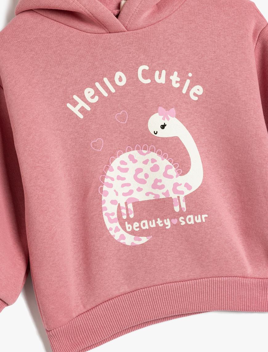  Kız Bebek Kapşonlu Sweatshirt Dinozor Baskılı Uzun Kollu