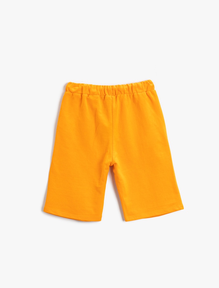 Erkek Çocuk Dinozor Baskılı Şort Beli Lastikli Diz Üstü Pamuklu