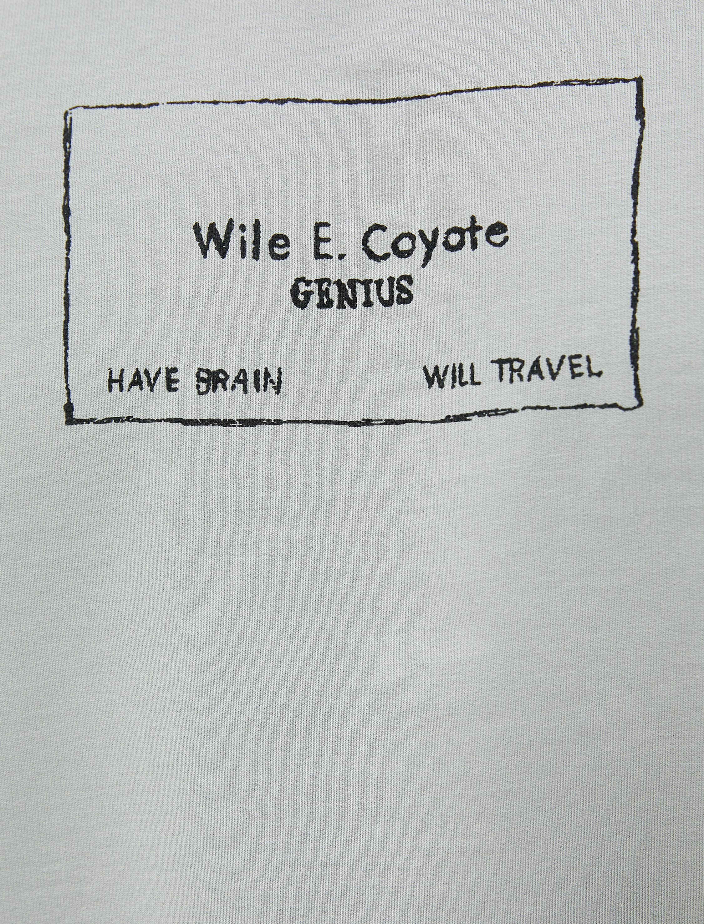   Looney Tunes Tazmanya Canavarı Oversize Tişört Lisanslı Baskılı