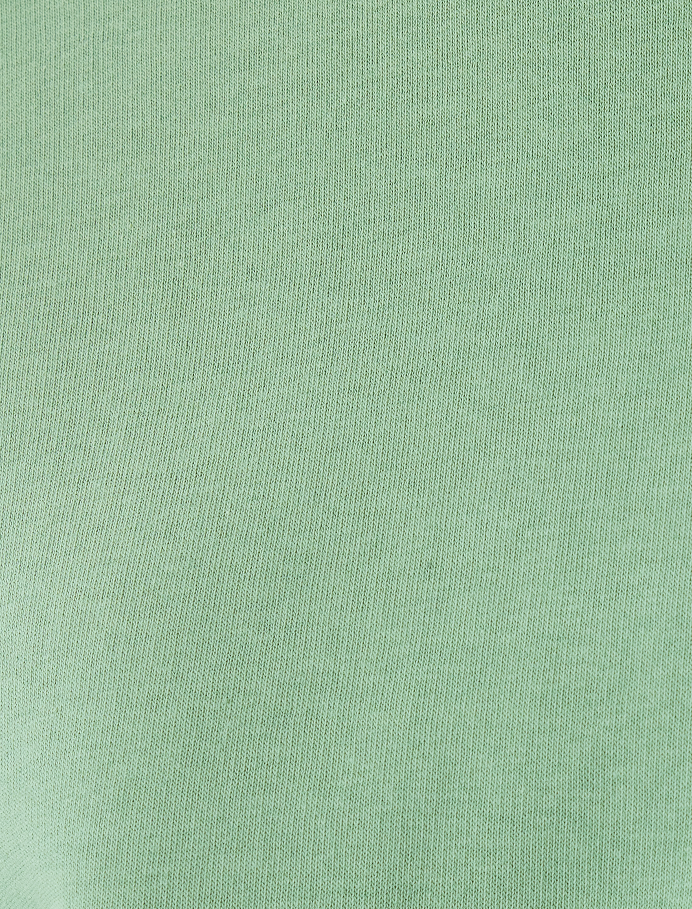 Crop Oversize Sweatshirt Kapüşonlu Kedi Baskılı Şardonlu