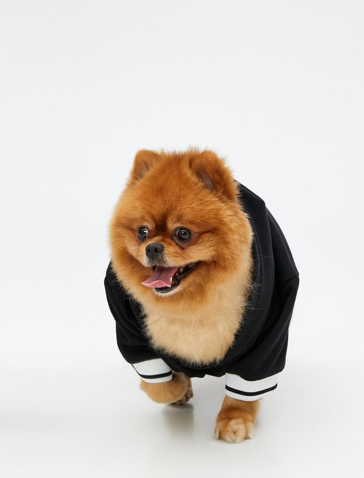  Baskılı Köpek Sweatshirt İçi Polarlı