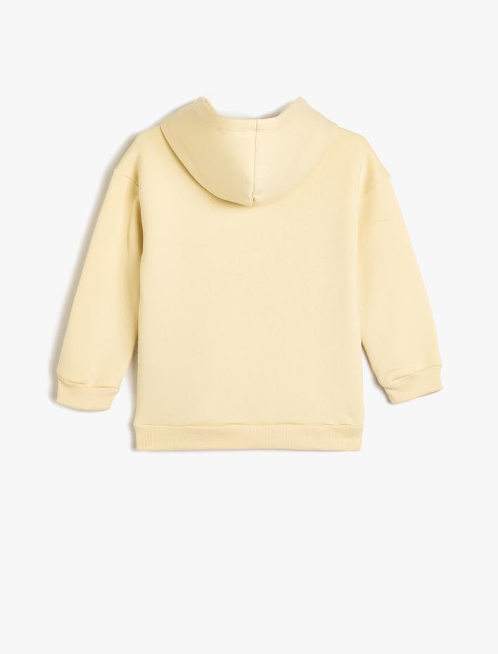 Erkek Çocuk Harry Potter Sweatshirt Lisanslı Kapşonlu Şardonlu Pamuk Karışımlı