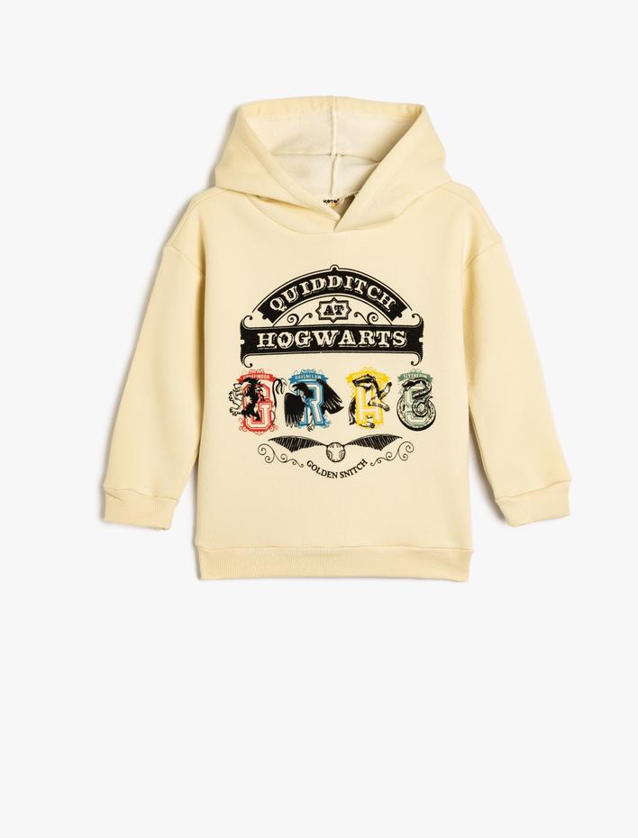 Erkek Çocuk Harry Potter Sweatshirt Lisanslı Kapşonlu Şardonlu Pamuk Karışımlı