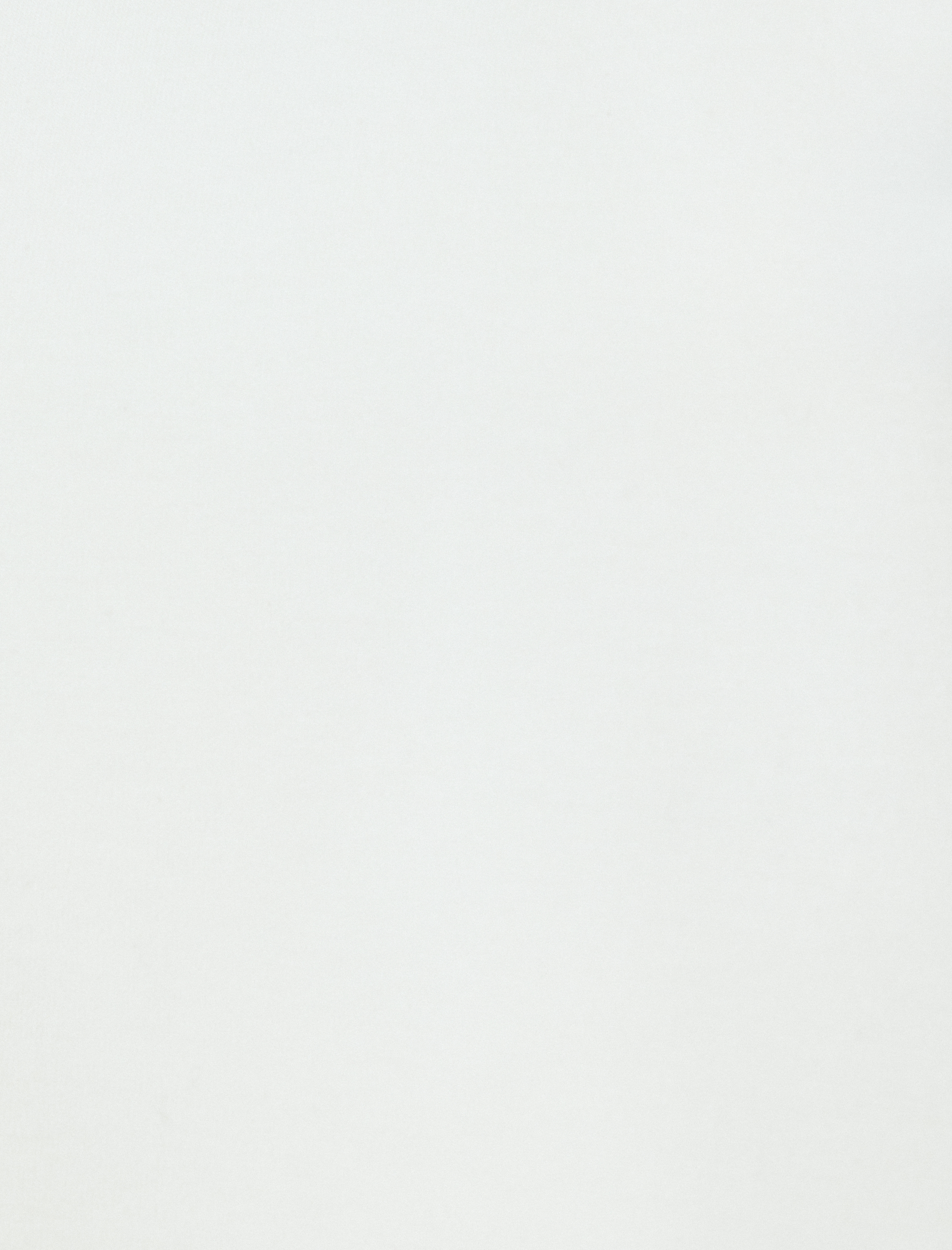   Uzun Kollu Basic Dik Yaka Sweatshirt