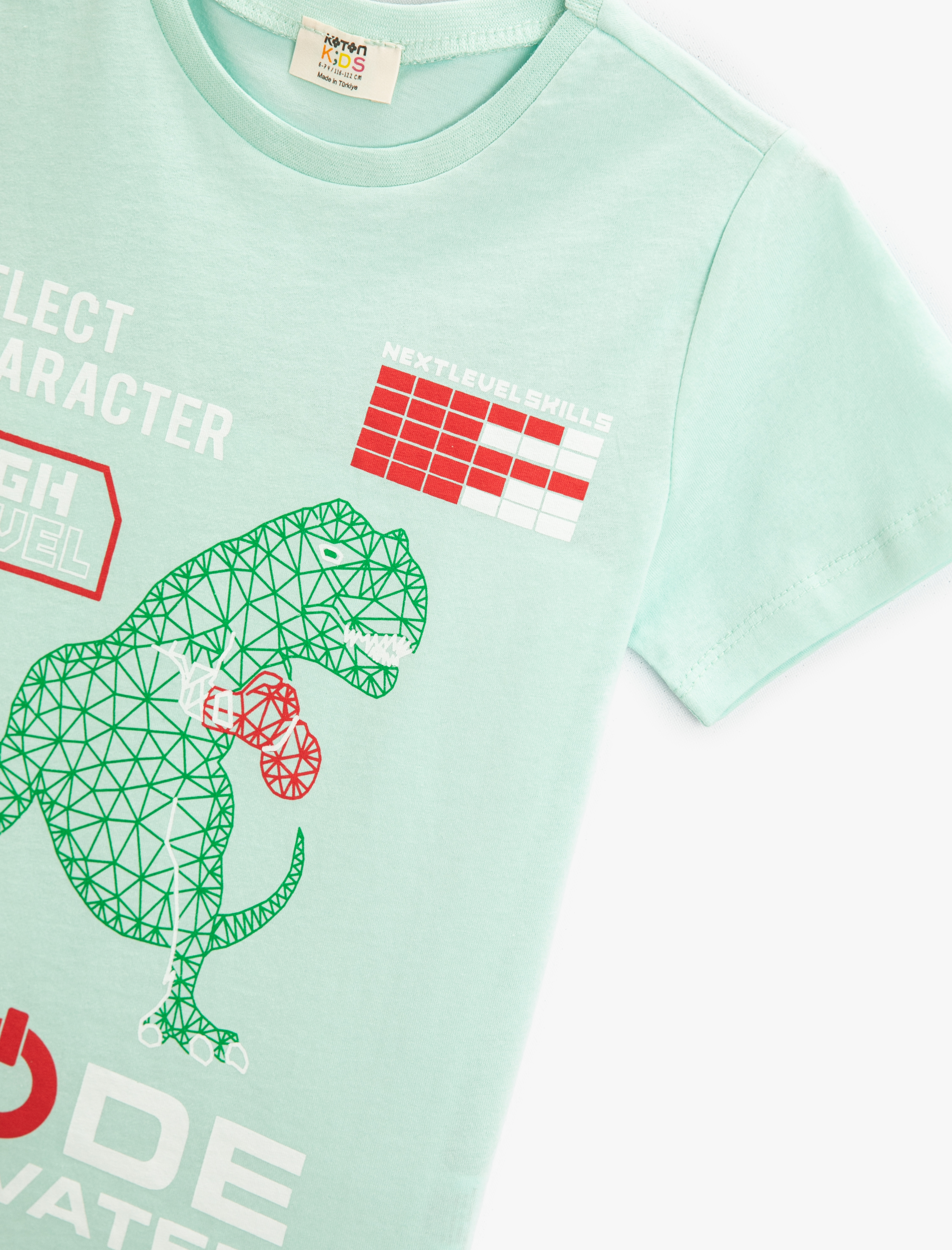  Erkek Çocuk Dinozor Baskılı Tişört Bisiklet Yaka Kısa Kollu Pamuklu