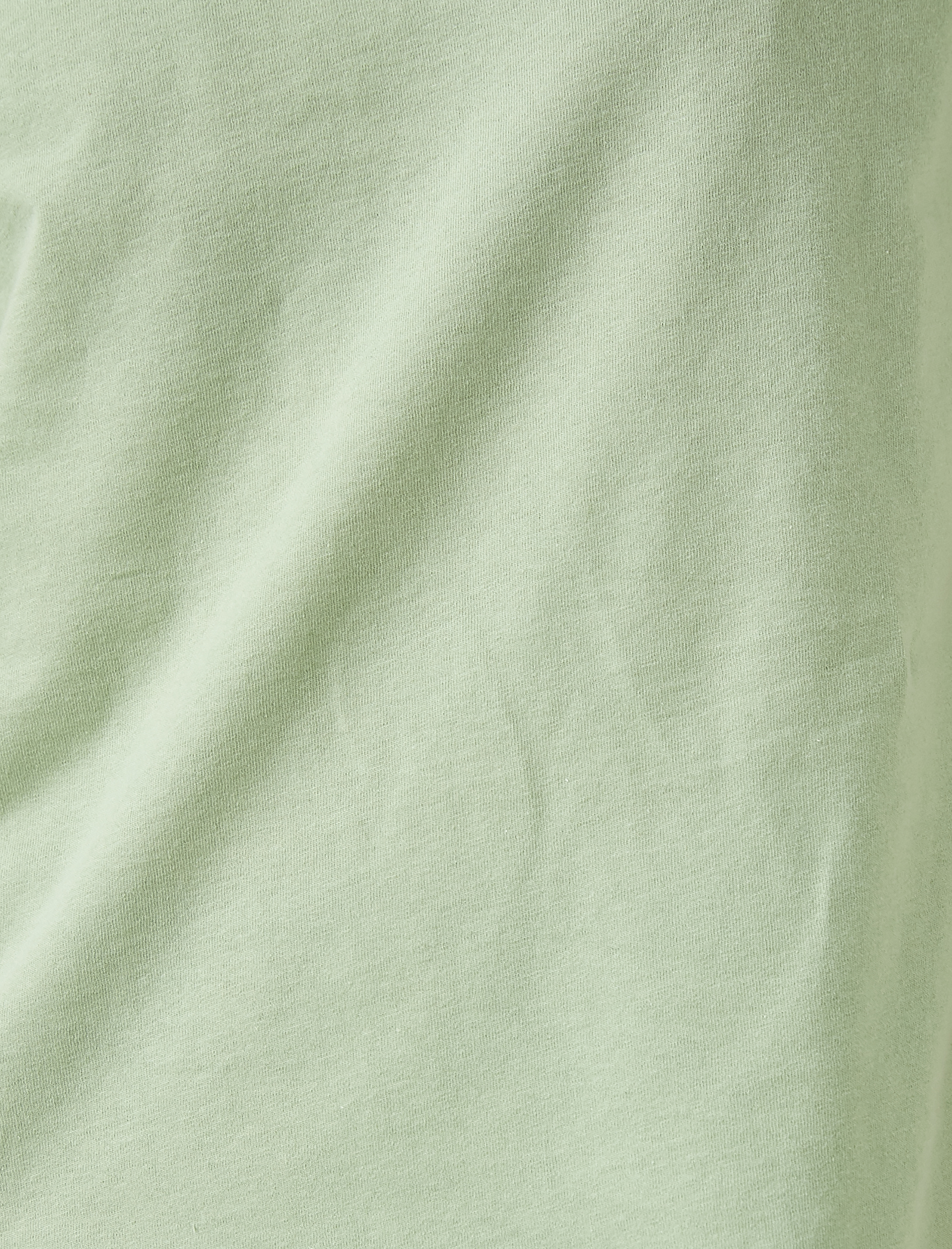   Kısa Kollu Pamuklu Tişört