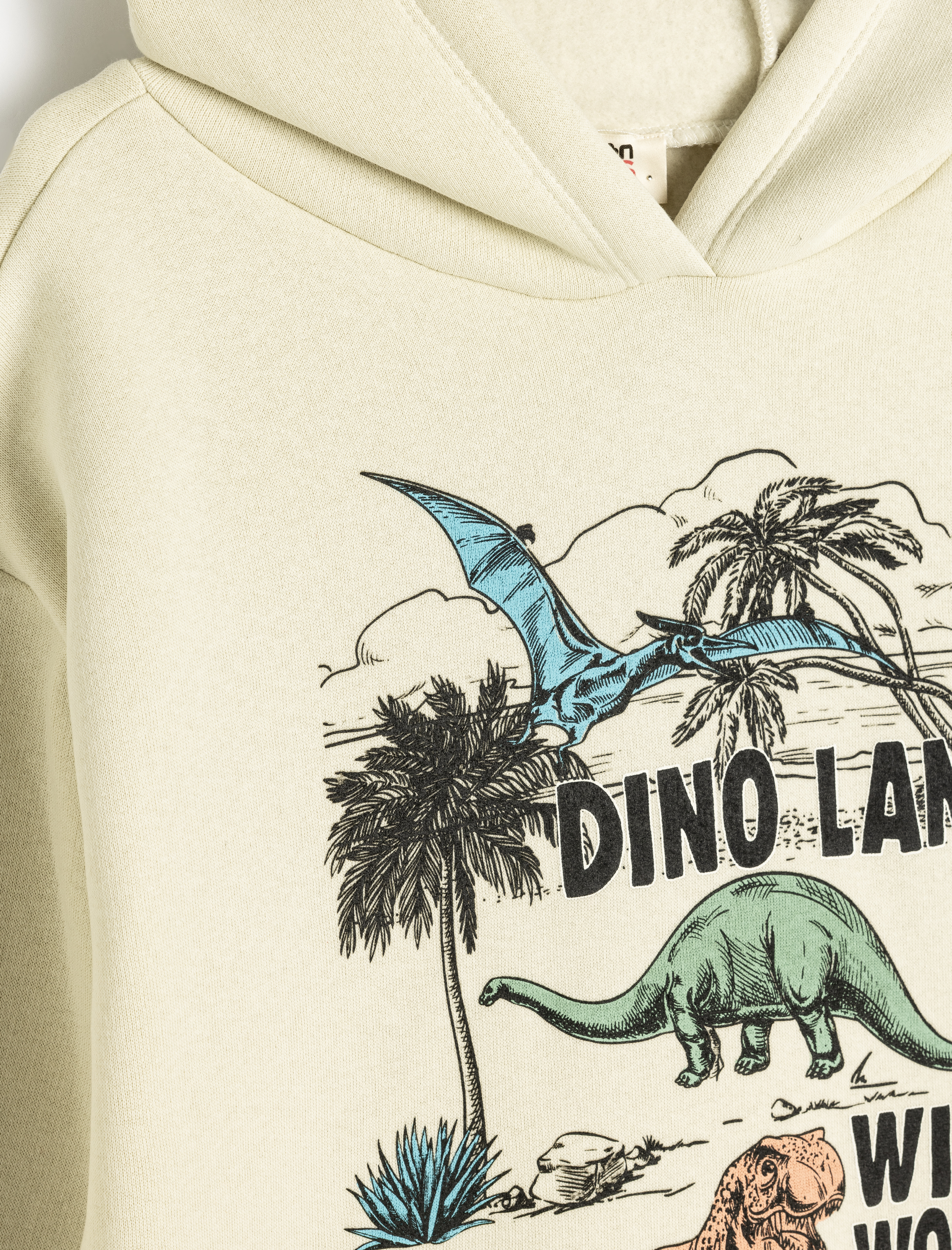  Erkek Çocuk Oversize Kapşonlu Sweatshirt Dinozor Baskılı Uzun Kollu Şardonlu