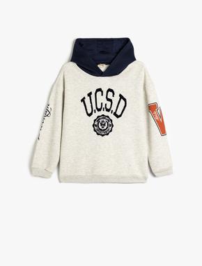 Kapşonlu Sweatshirt Baskılı Uzun Kollu Renk Bloklu