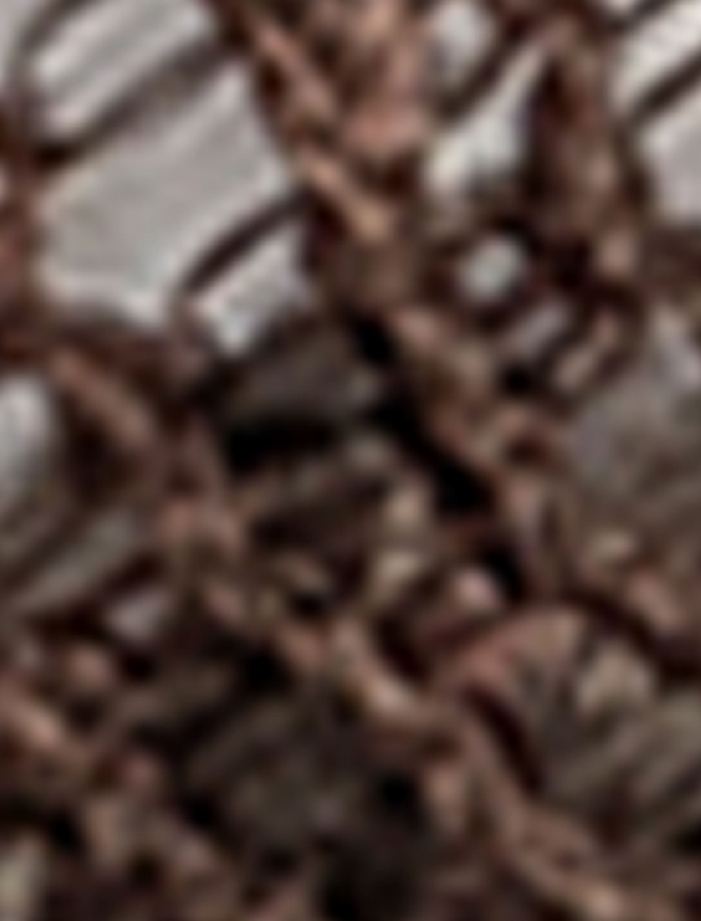   Arkası Dantel Detaylı Brazilian Külot