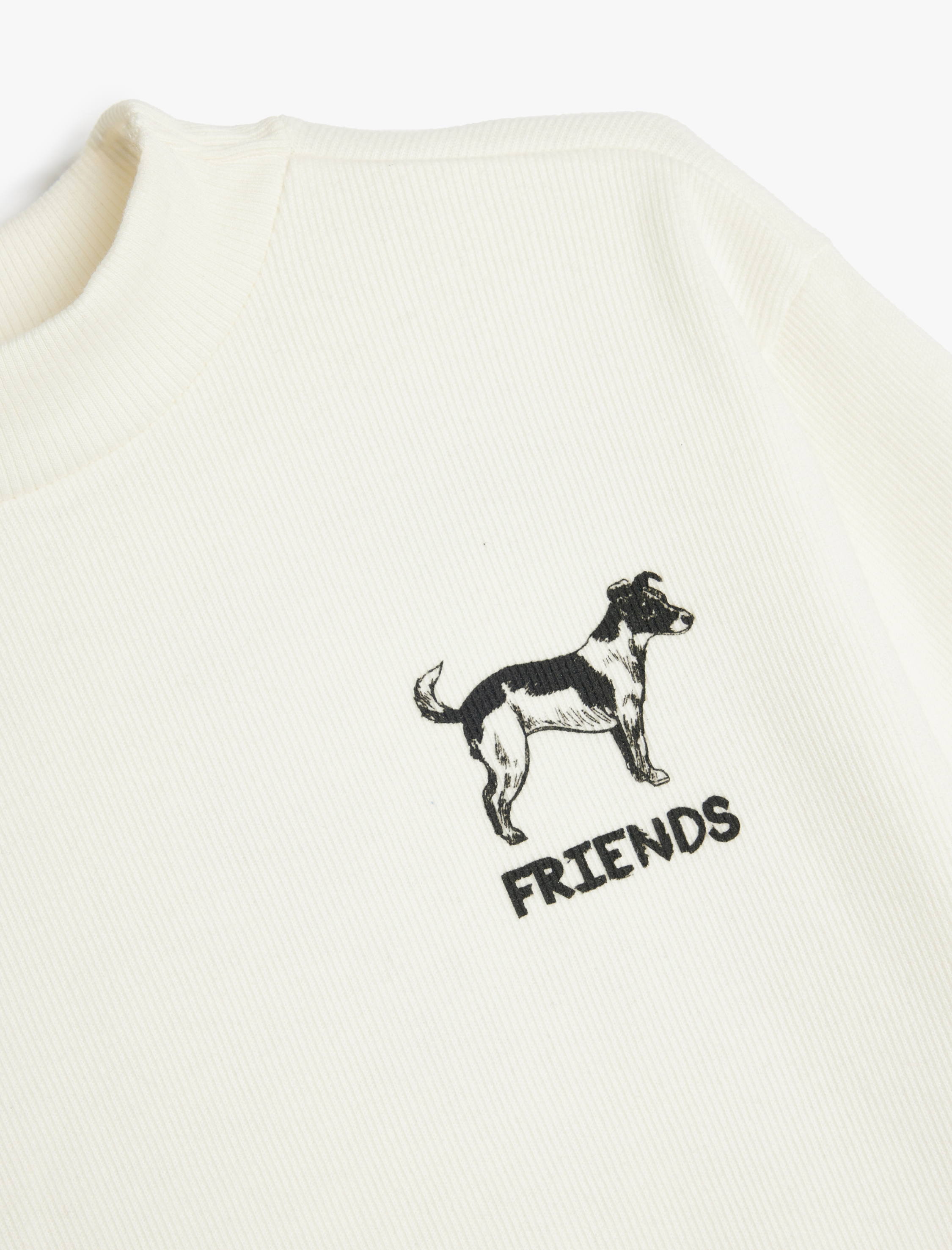 Erkek Çocuk Sweatshirt Yarım Balıkçı Yaka Köpek Baskılı Dokulu