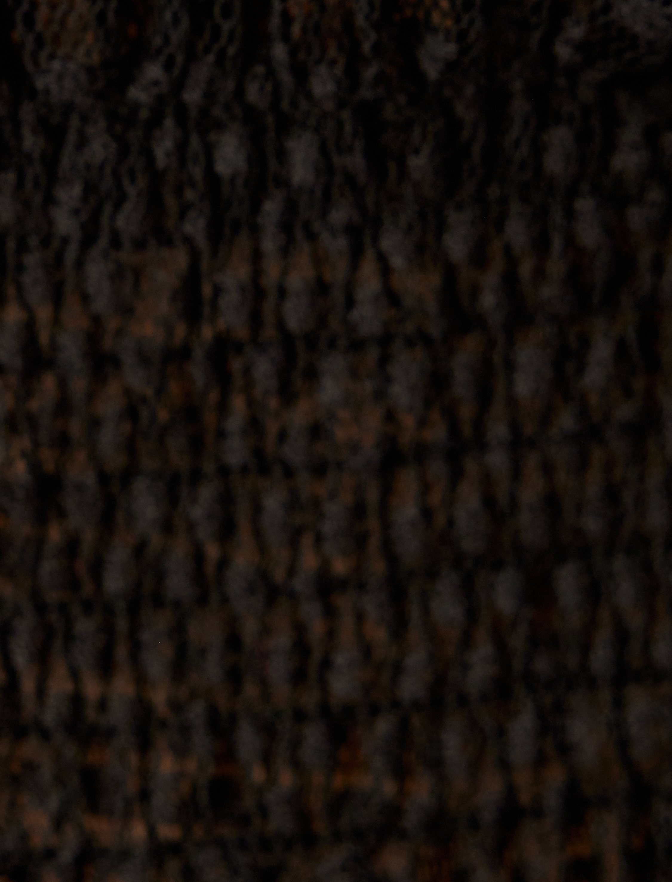 Crop Tül Transparan Bluz Uzun Kollu Dik Yaka Manşetleri ve Beli Lastikli