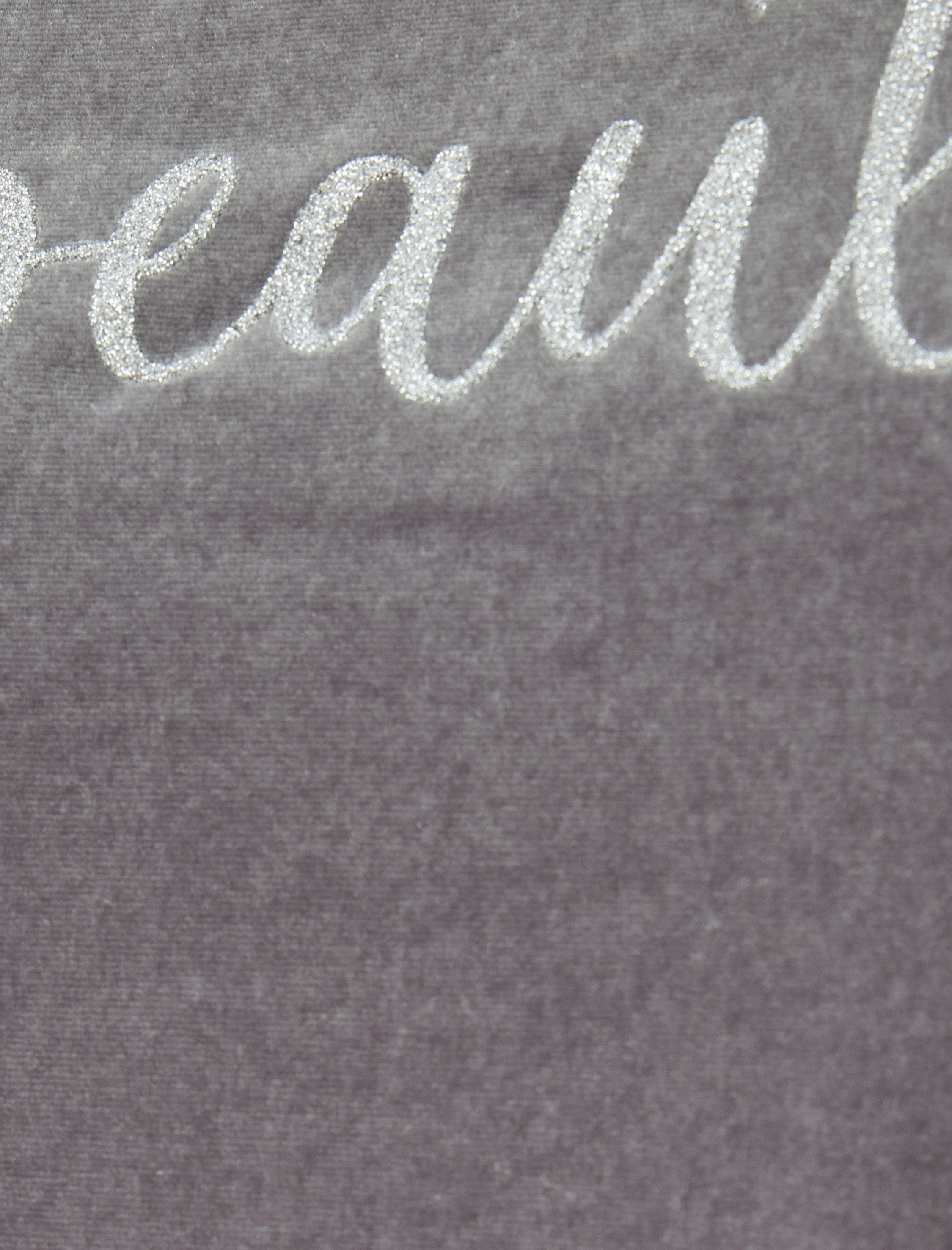   İşleme Detaylı Kısa Kollu Bisiklet Yaka Parlak Kadife Tişört